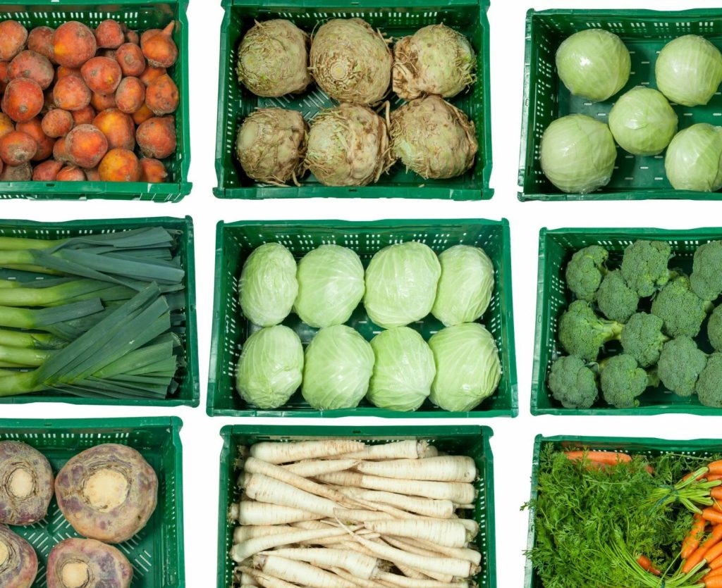 Verschiedene Bio-Gemüse-Sorten, darunter Bio-Möhren, Bio-Brokkoli, Bio-Blumenkohl, Bio-Steckrüben, Bio-Rote Bete, Bio-Kohl, Bio-Porree, Bio-Petersilienwurzel, Bio-Gelbe Bete und Bio-Pastinaken, nachhaltig angebaut und präsentiert als hochwertige Bio-Produkte.